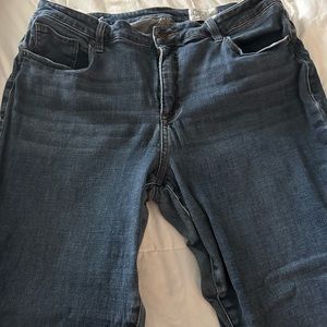 Cosmic Blue Love Jeans in 18W